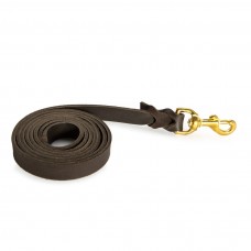 Training leash leather 18 mm x 1,80 mtr., no handle